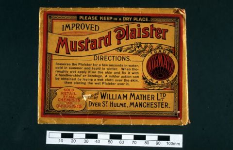 Example of early 20th century plaster used for blistering. Hunterian Museum Collection.